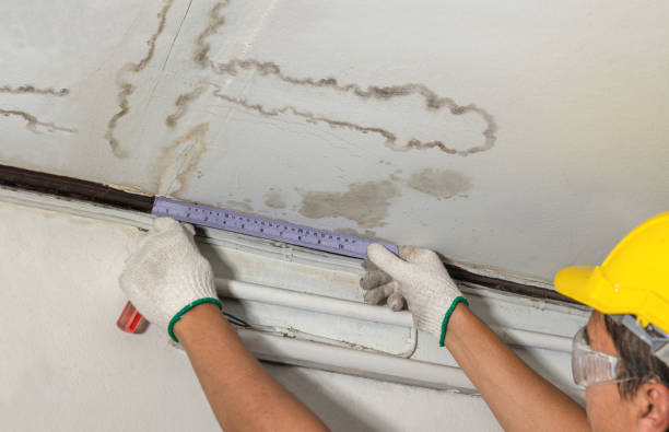 Reliable Flood Cleanup contractor in Somerset, MA by Water Damage Irwin